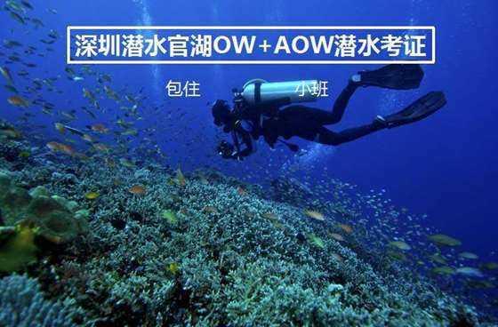 生化危机4