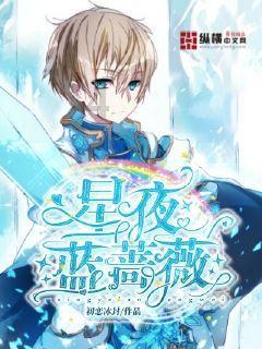 塞尔达：荒野之息